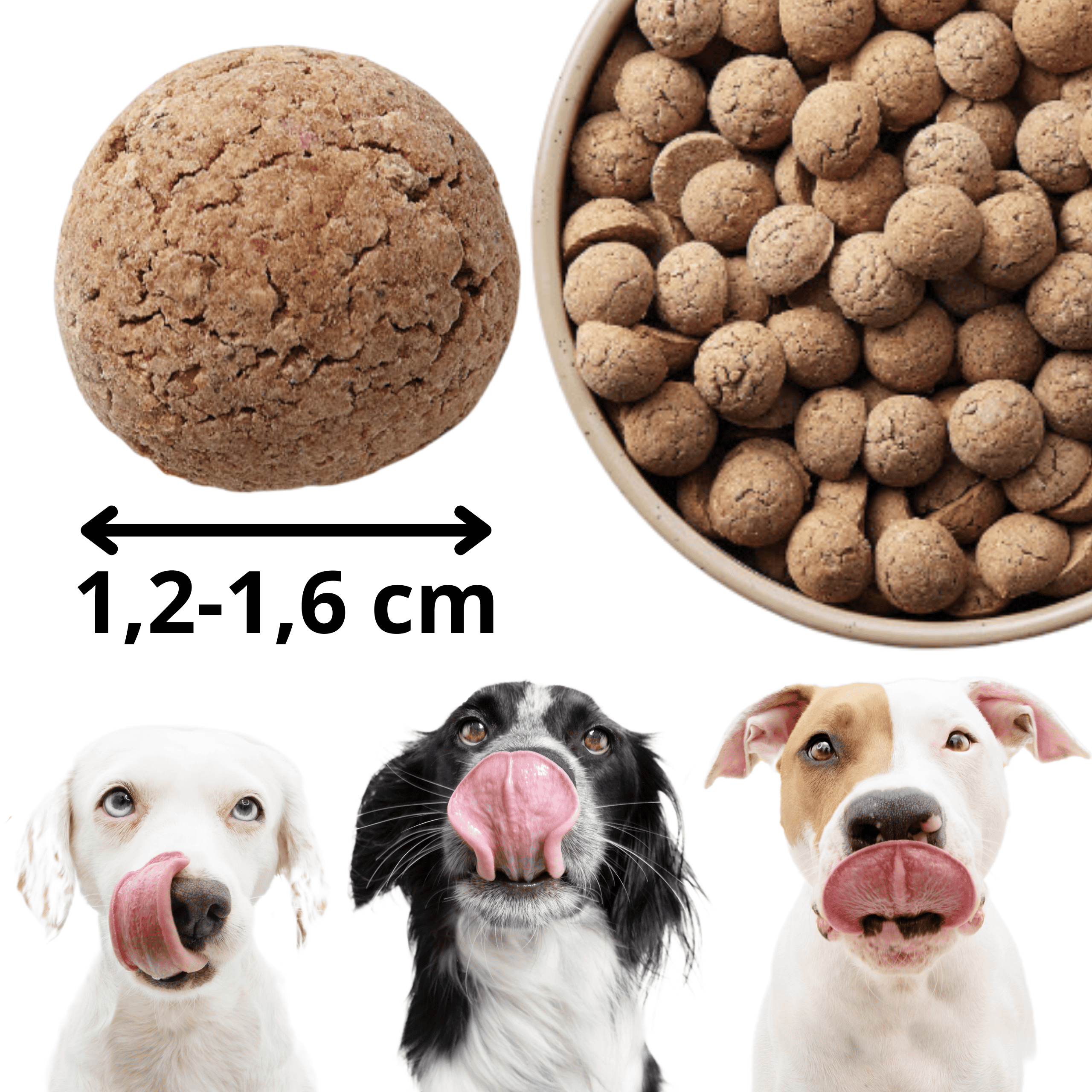 Kraina Radolin Dzik 1,2 kg rasy większe dla psów z alergią i nadwrażliwością 65% mięsa karma sucha pieczona