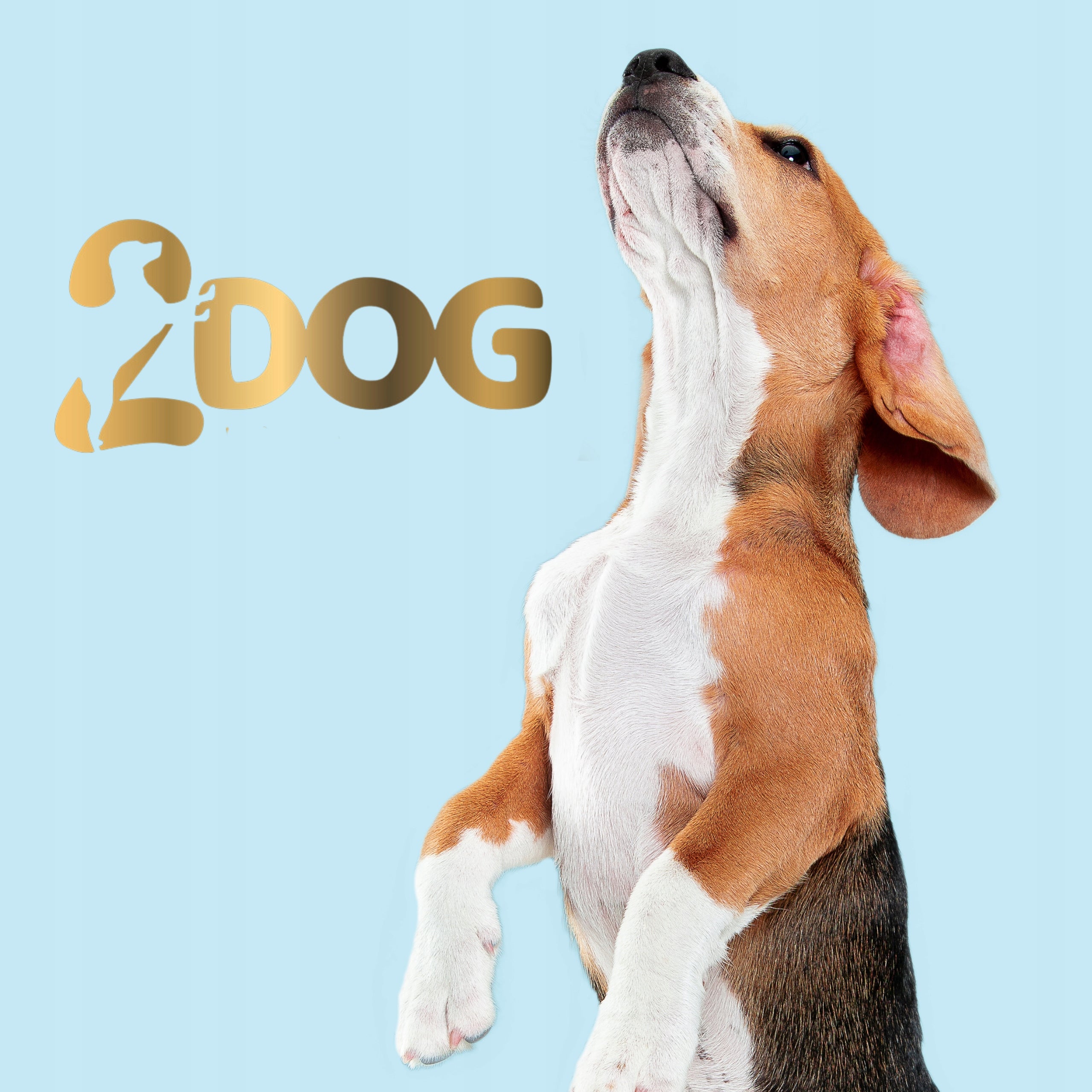 2Dog Cygara ZAJĄC 1 kg